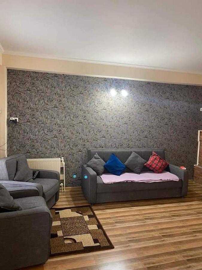 Bakuriani Resort Cottage 1 Storey Kültér fotó